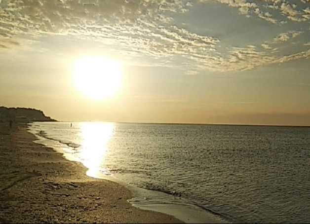 Участок в Новой Дофиновке с видом на море и лиман !