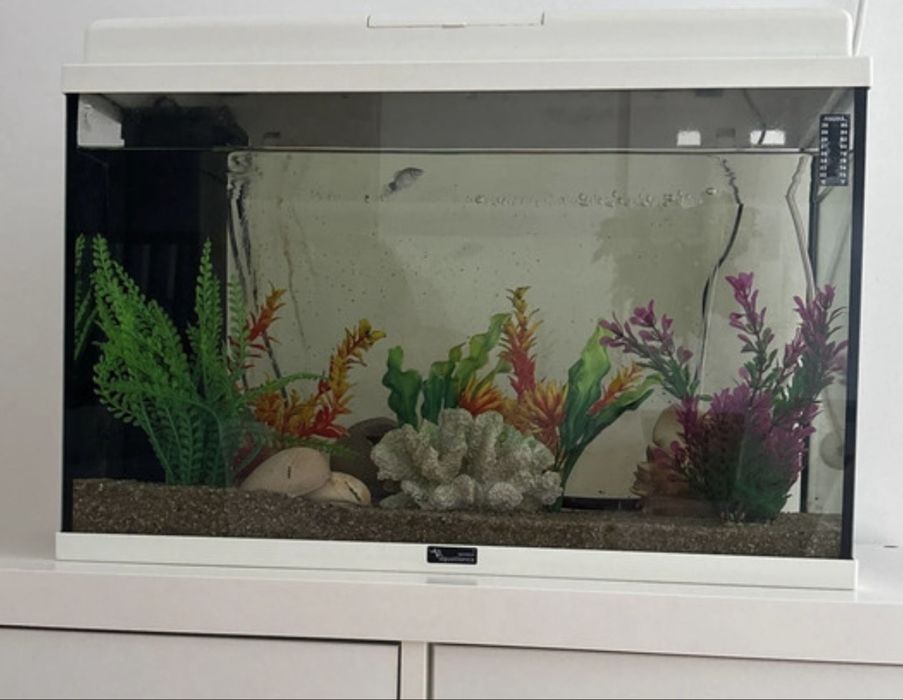 Aquário aquatlantis 60x30x34 cm