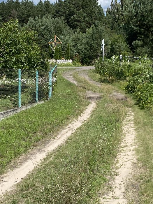 Продається земля в Новій Любомирці - View 2