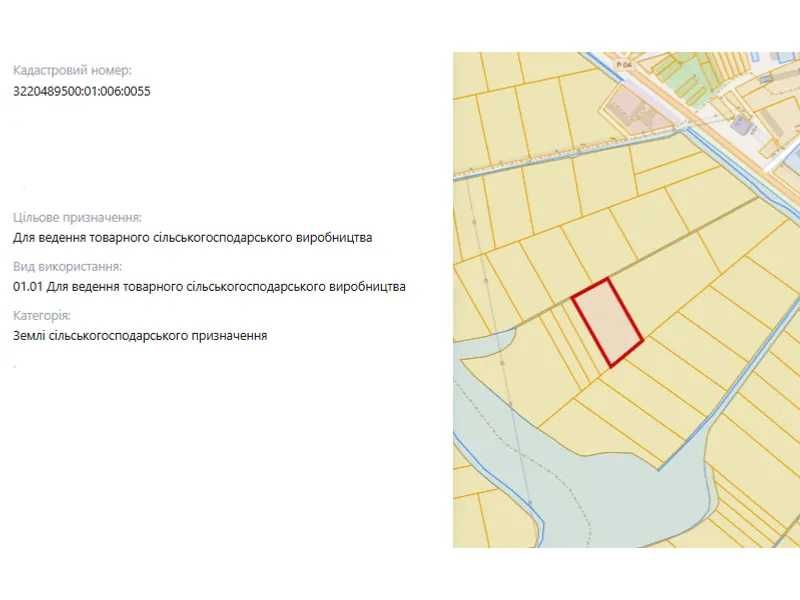 1/2 частки земельної ділянки КН 3220489500:01:006:0055, площею 1.723 га, Шкарівська сільрада, Білоцерківський рн, Київська обл