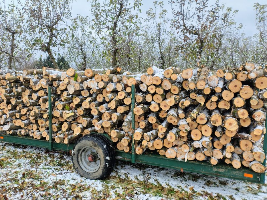 Sprzedam drewno opałowe, jabłoniowe