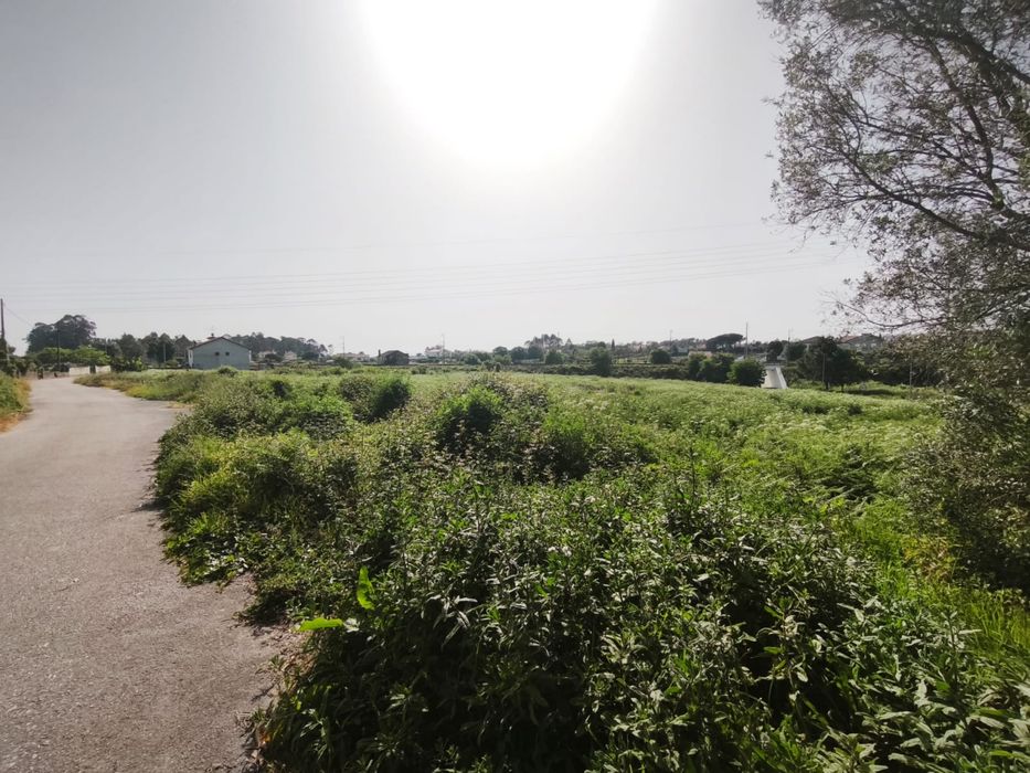 Terreno para cultivo ou criacao de animais em Vila fria ,Viana do cast