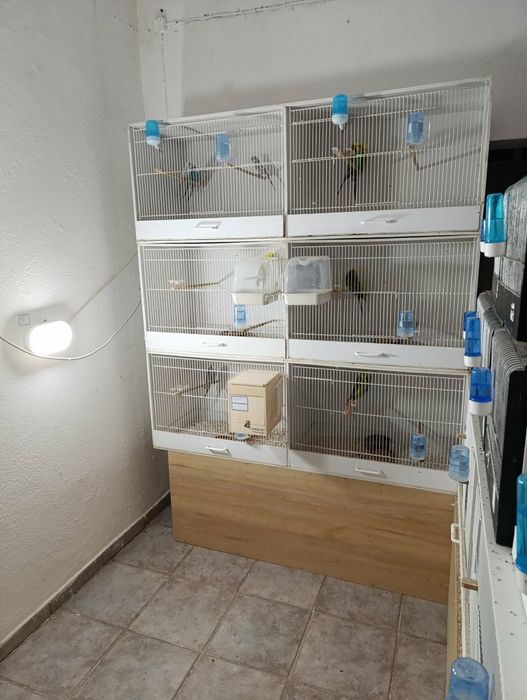 Gaiolas pvc para periquitos