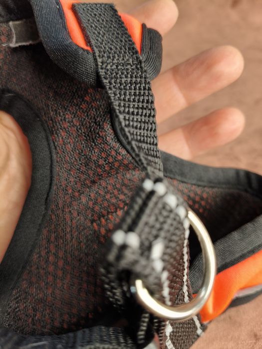 Małe pomarańczowe szelki dla psa 53