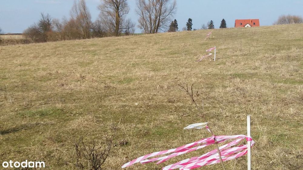 Działka budowlana, Nowe Guty, Jezioro Śniardwy - View 6