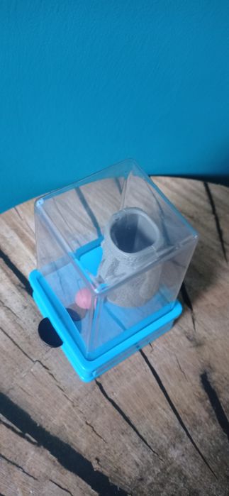 Burger King zabawka z 2006 r. Wyspy Wielkanocne