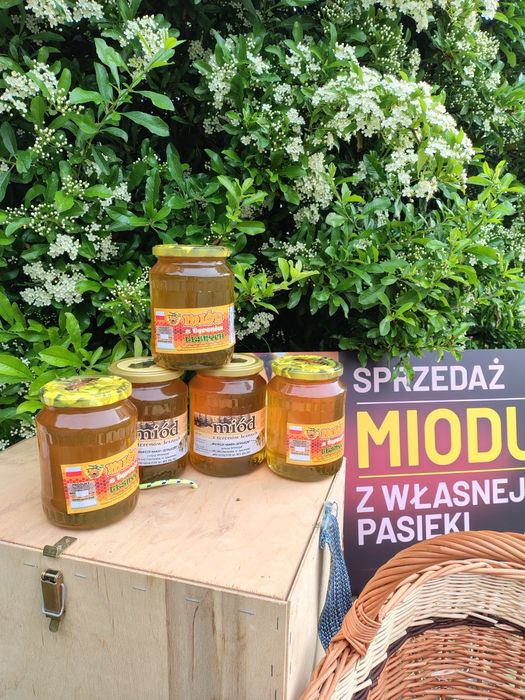 Sprzedam miód i pyłek pszczeli