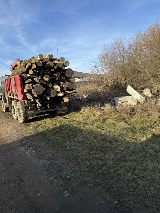 Продам дрова різних порід