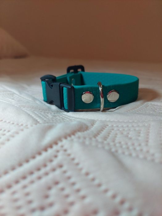 Ошийник з повідцем