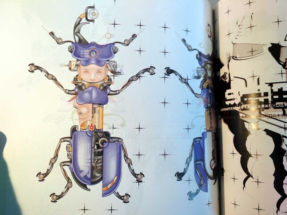 5 x Belio (porte incluído)