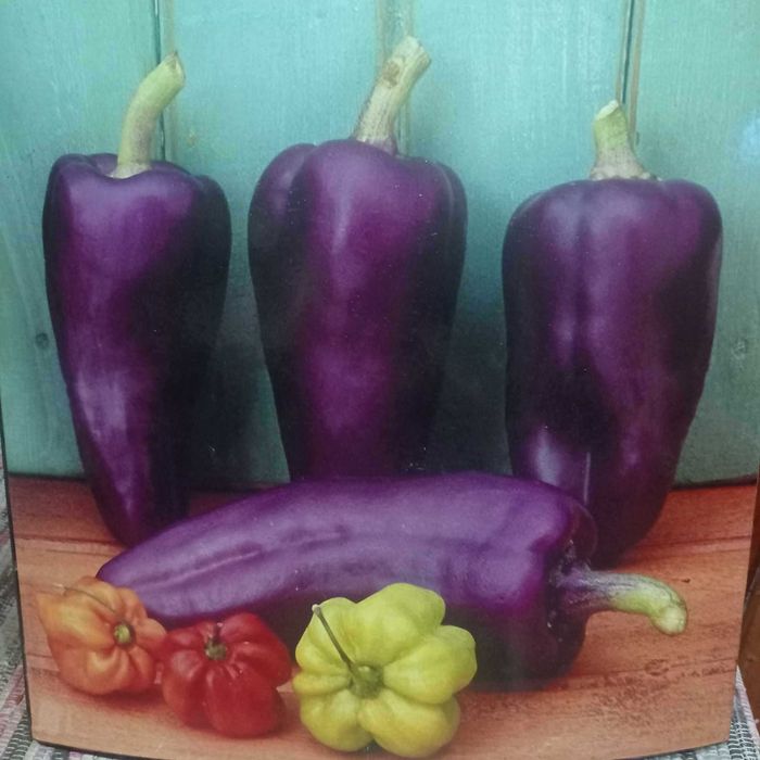 vendo quadro decorativo