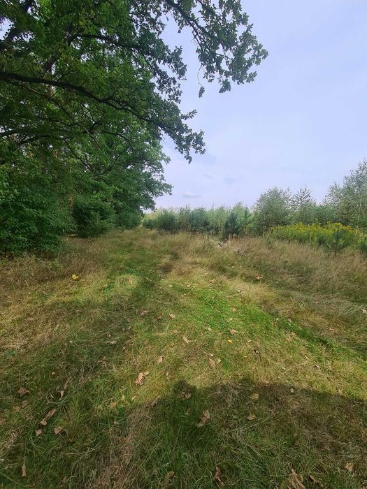 Działka przy lesie, Nowa Kopernia, 924m2, WZ, przyłącze prądu