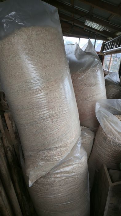 Trociny sosnowe I mieszane