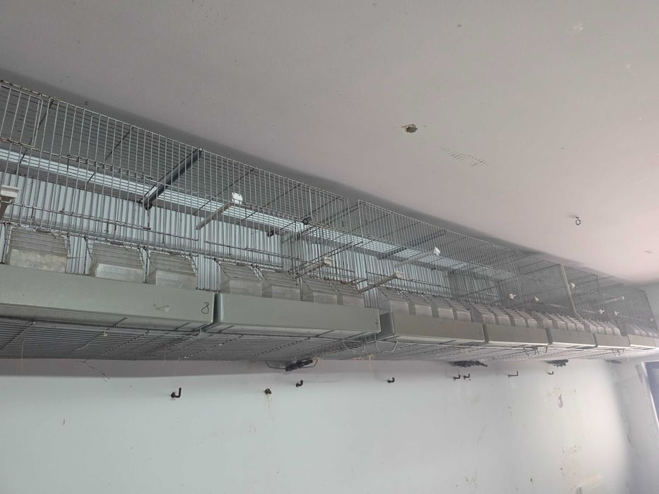 Gaiolas para criação 80cm