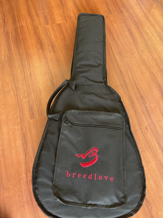 Guitarra Breedlove c250SBe