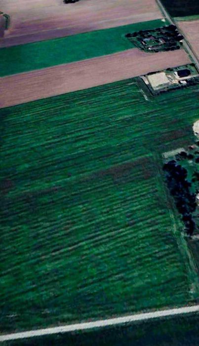 Działa rolna 5Ha Olszówka - Widok 2