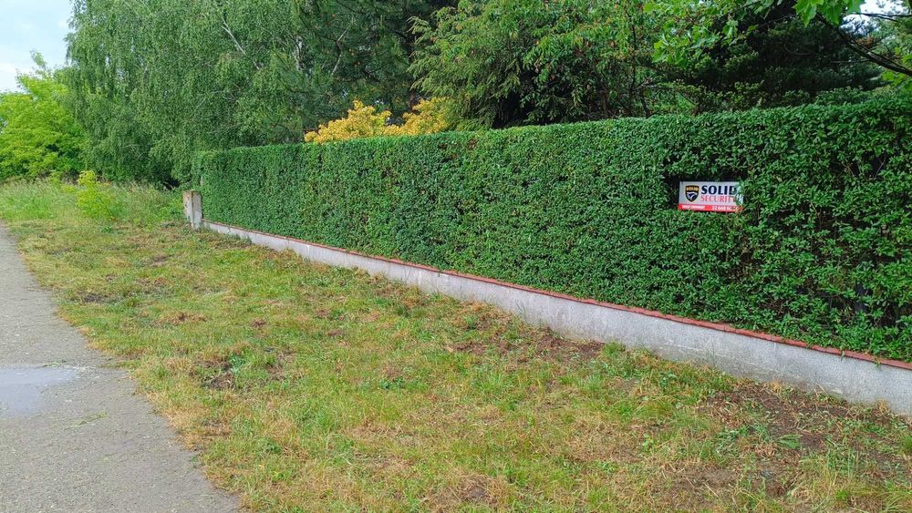 Projektowanie i zakładanie ogrodów.