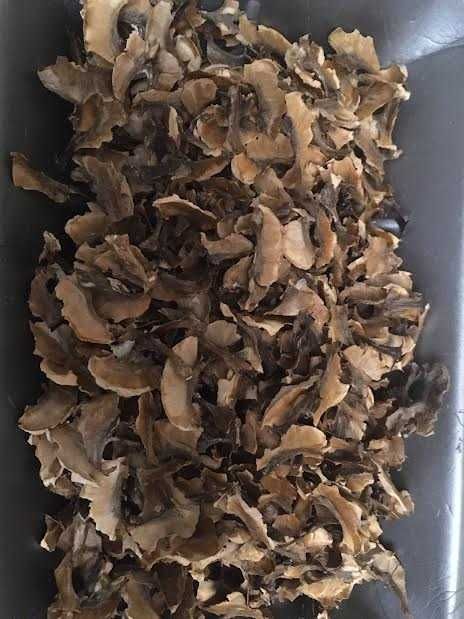 перегородки грецкого ореха