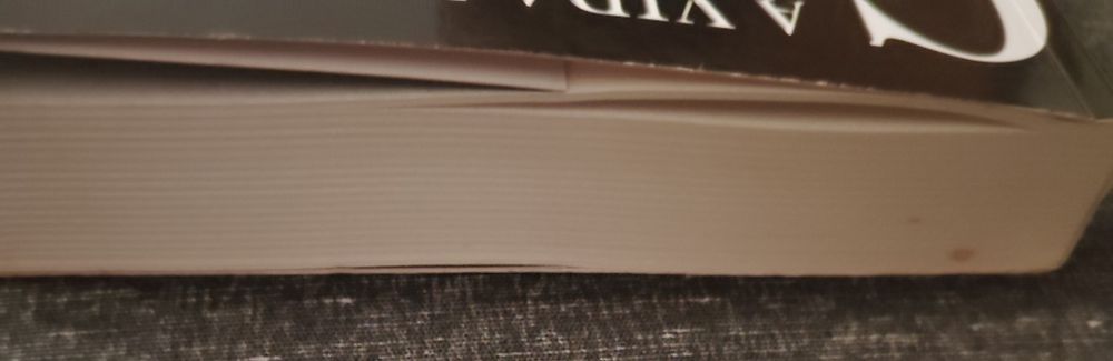 Livro A Vida Num Gang Usado