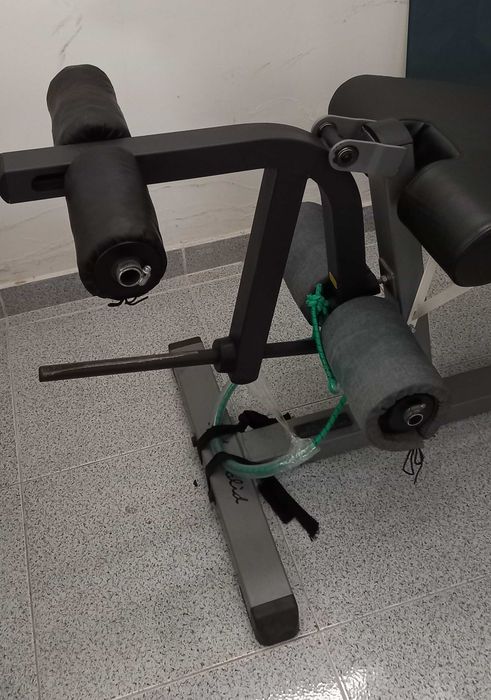 Cadeira de extensão/flexão