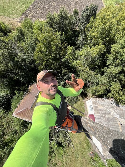 Зрізаємо аварійні, небезпечні дерева