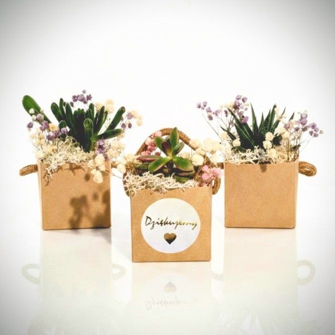 Podziękowania dla gości na wesele chrzest  urodziny komunie - sukulent