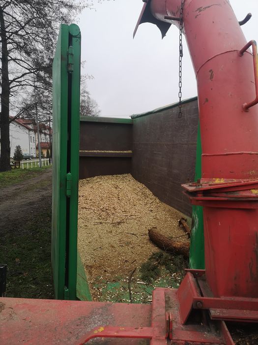 Wycinka, pielęgnacja drzew