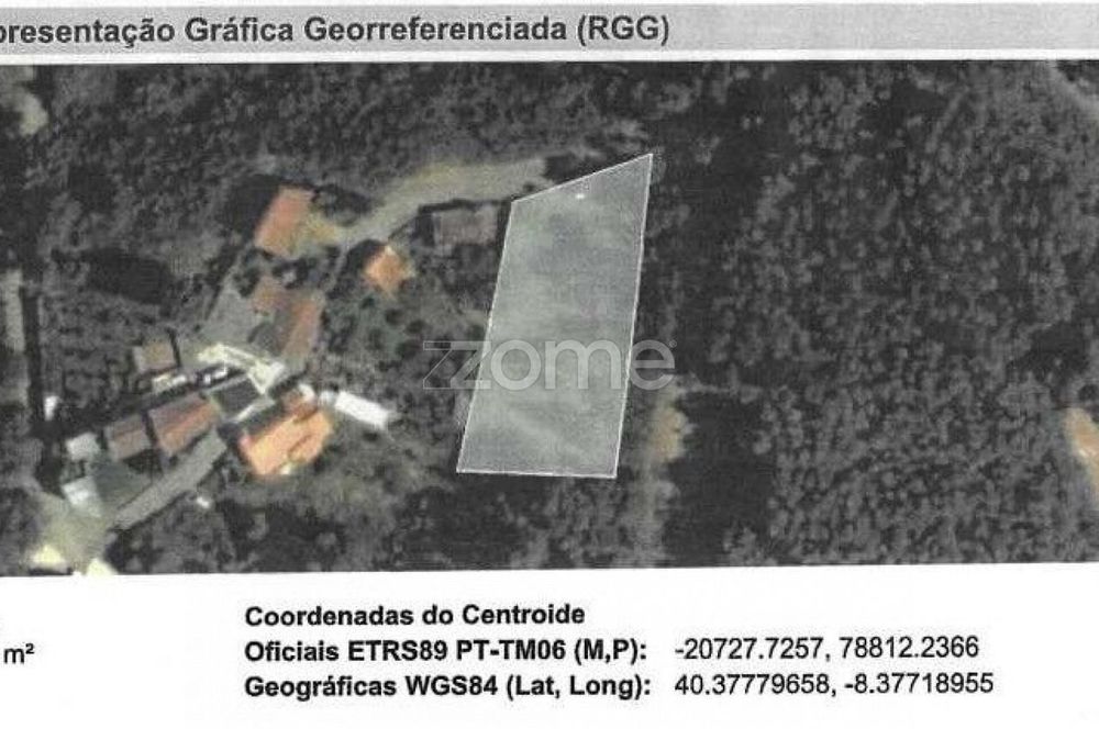 Terreno, Luso