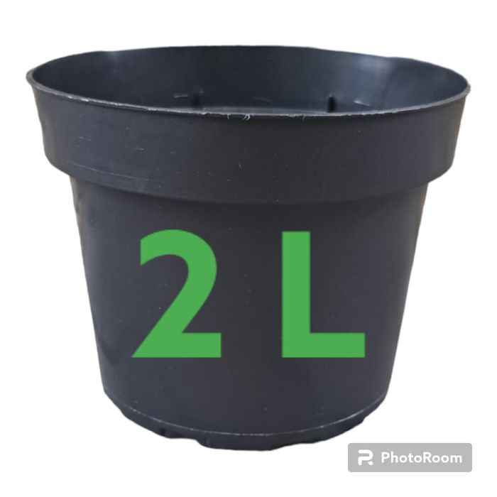 Doniczki produkcyjne 2 L 17cm