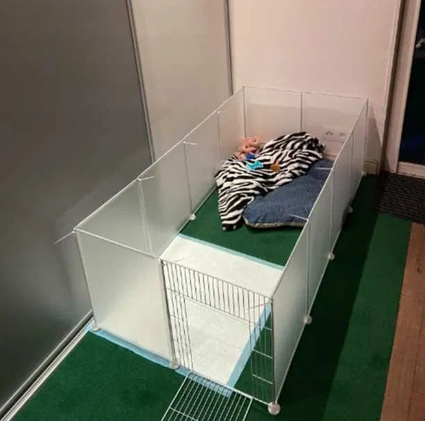 Modułowy kojec dla małych zwierząt biały z drzwiczkami 142x72x45 cm