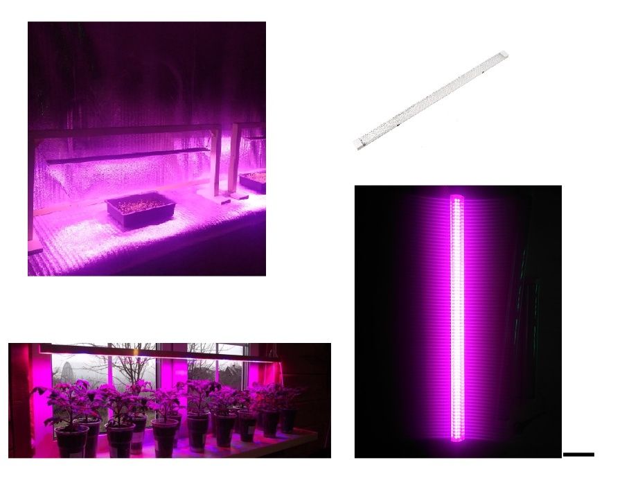 Фитолампа (фитосветильник ) - NSFS – 52 Вт