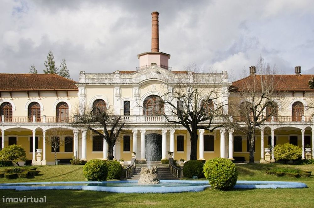 Terreno Rustico com Viabilidade de Construção em Anadia