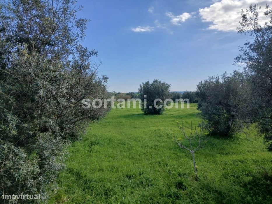 Rustic Land for Sale in Ferreiras, Albufeira