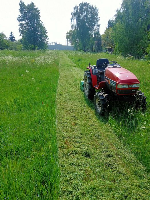 Porządkowanie działek, koszenie, wycinka, rębak do gałęzi.