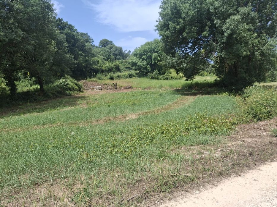 Venda de terreno rustico.