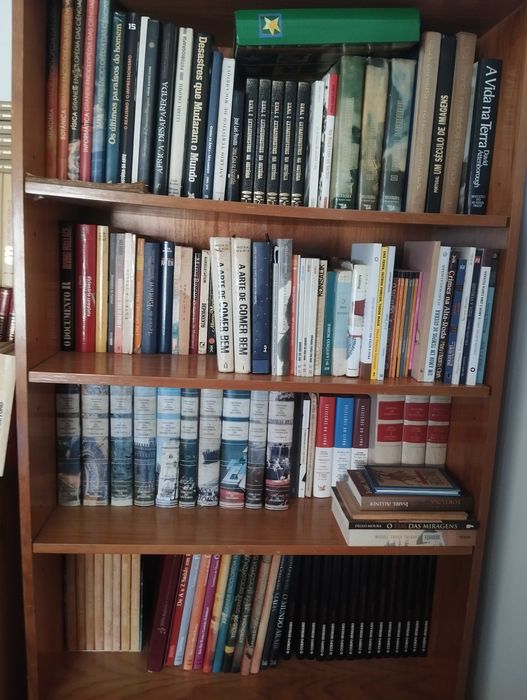 Biblioteca Particular – 420 Livros | Saramago, Eça, Eco, Kundera e Outros | 180€ Negociáveis
