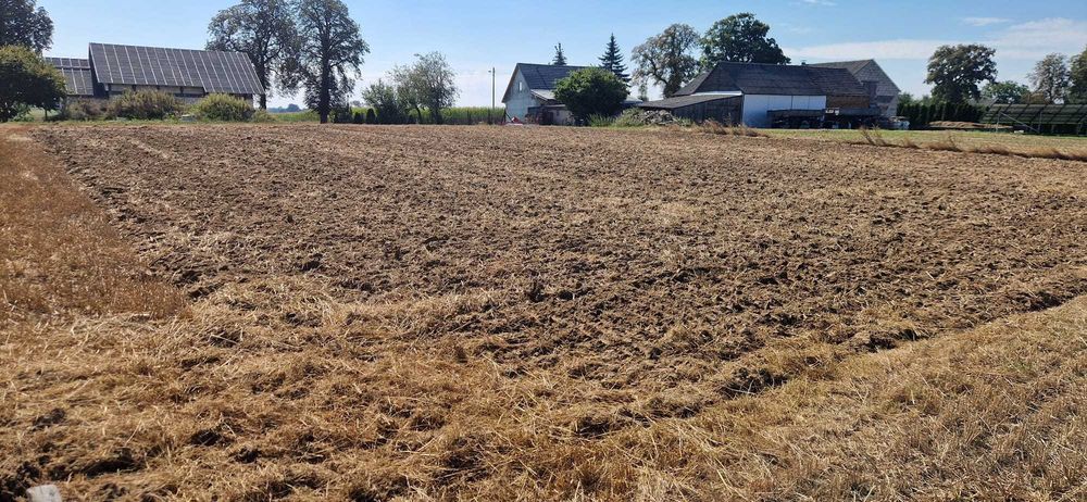 Twoje miejsce na dom, 1555 m² w cichej lokalizacji Kotomierz.