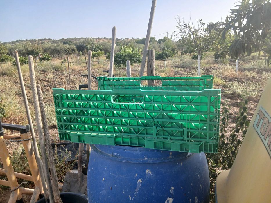 Caixas plásticas para venda