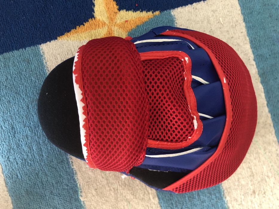 Боксерська лапа