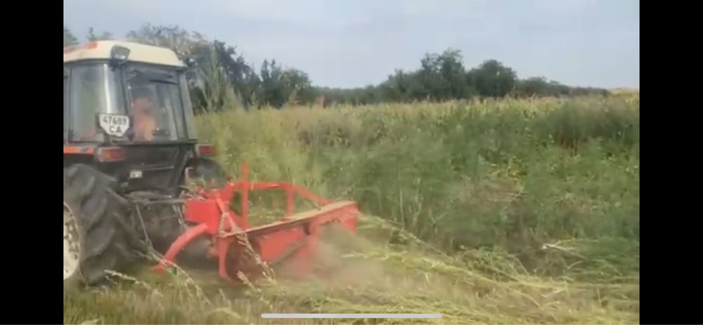 Кошу бурян, обкіс полів садків кукурудзи люцерни