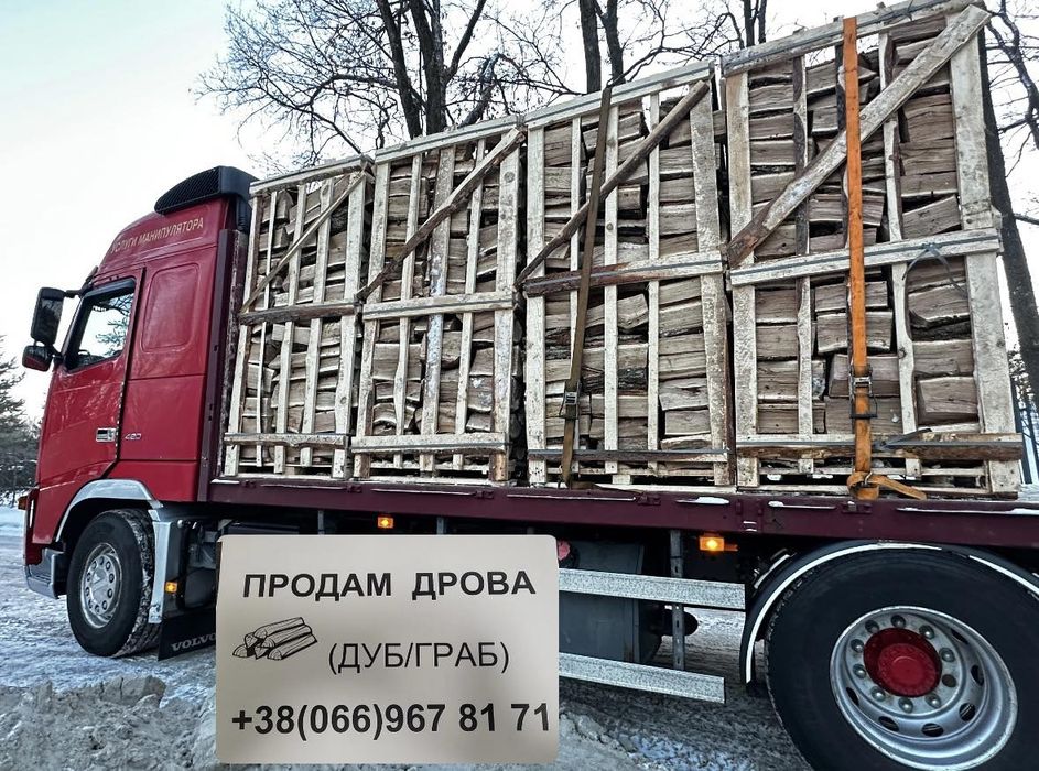 Дрова (дуб/граб/береза/осика)