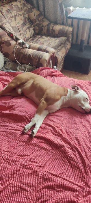 Вязка для здоровья