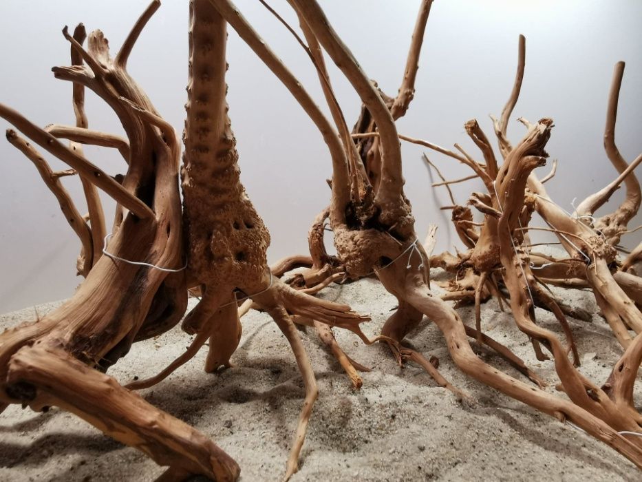 Korzenie Red Moor Root Nano 100g, korzenie do akwarium, Turkusowe Zoo