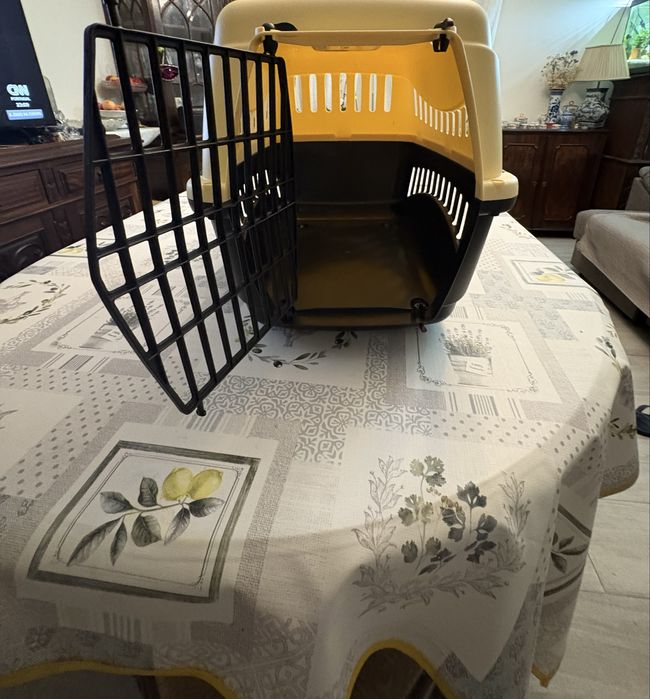 Transportadora de animais