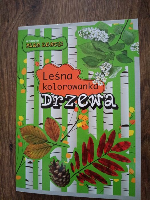 Leśna kolorowanka drzewa