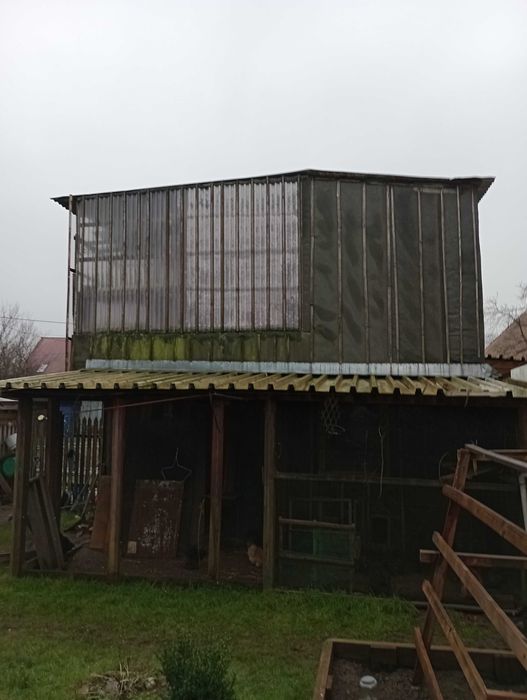 Gołębnik wojler za darmo
