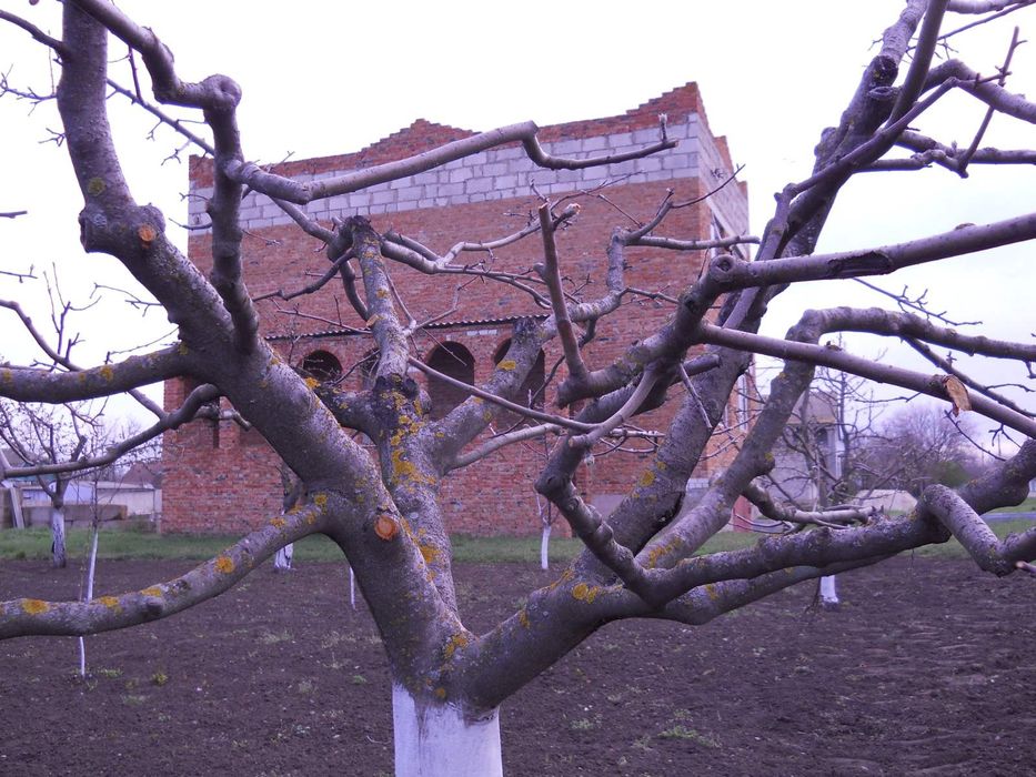 Дом Миколаївська область, Баштанський район, с. Лоцкіно 160 кВ.м.