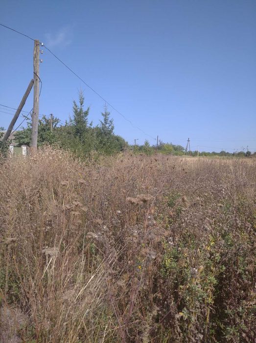 (3) Терміново! Продам земельну ділянку в Щітках 0756