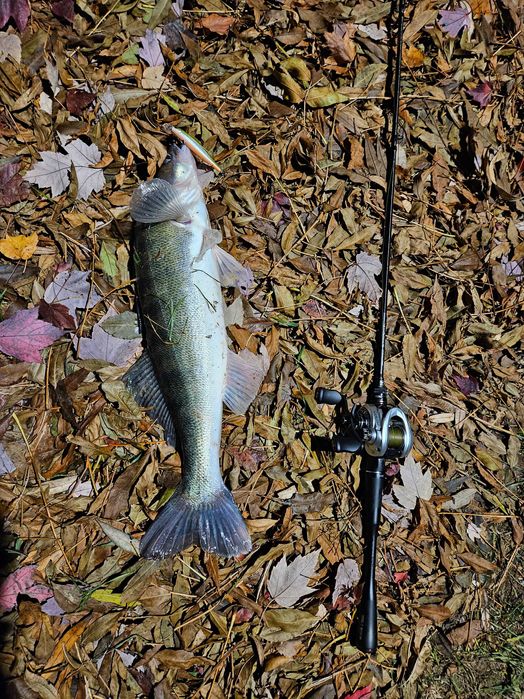 Abu Garcia ZENON MG-LTX-L мультиплікаторна (бейткастингова) котушка