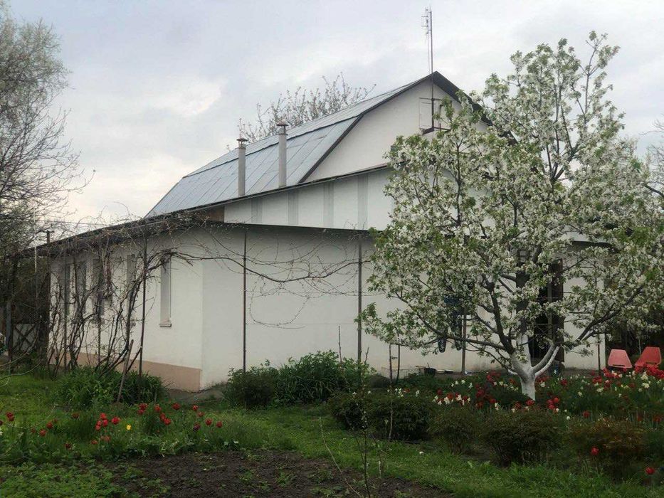 Газифікований цегляний будинок 200 м² + 33 сотки. Очеретувате